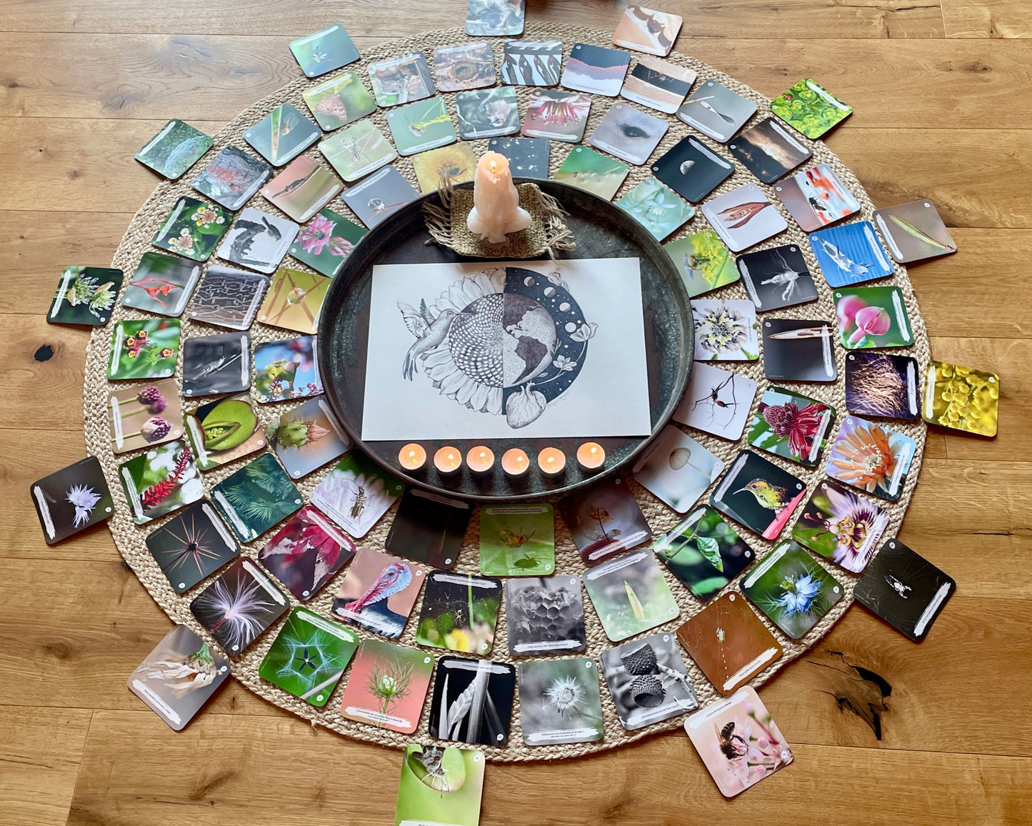 Conecta con tu Sabiduría Natural | Juego + 4 Sesiones de coaching